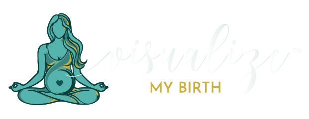 Visualize My Birth Logo