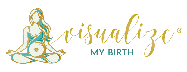 Visualize My Birth Logo