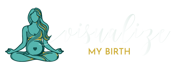 Visualize My Birth Logo